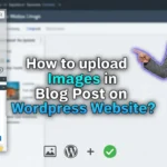 In this article we are going to discuss about How to Upload Images in a Blog Post on WordPress